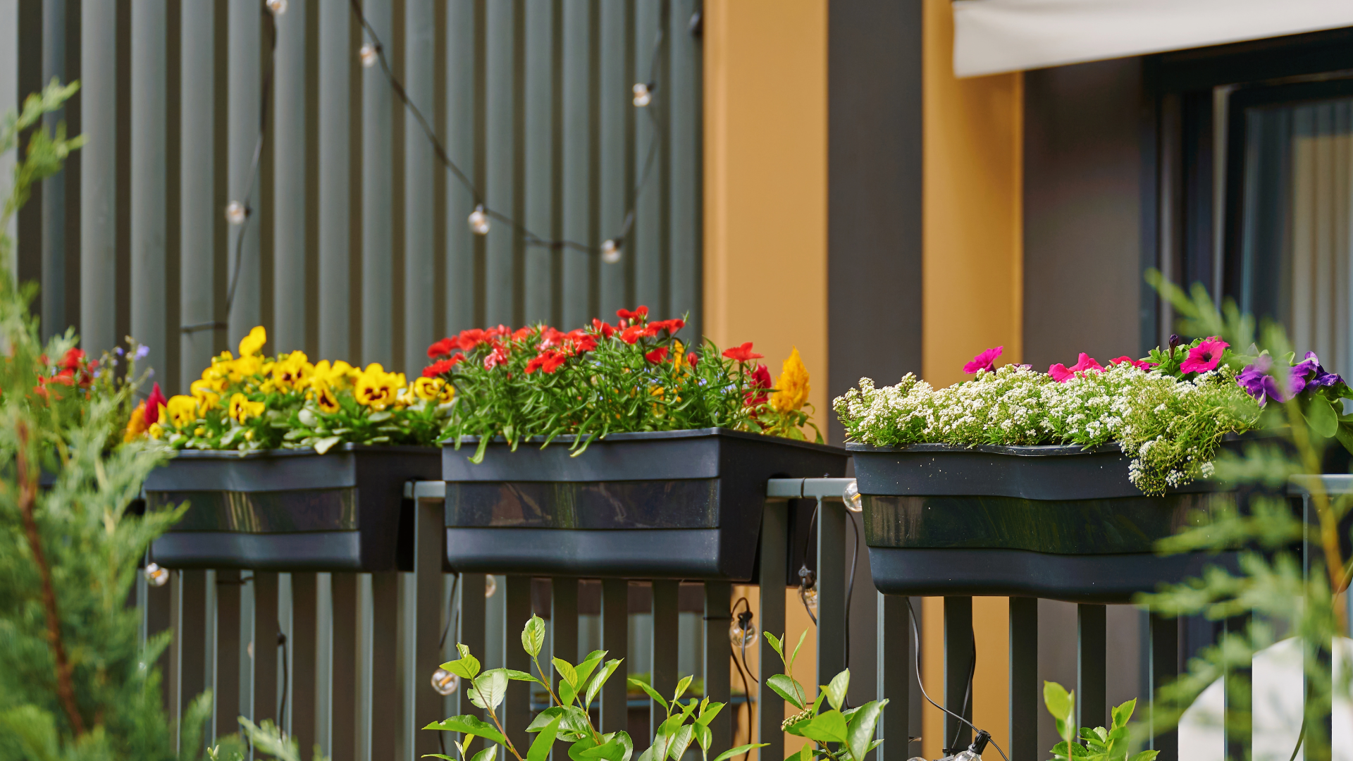 Jardineria per a terrasses petites: com aprofitar l’espai i escollir les plantes adequades