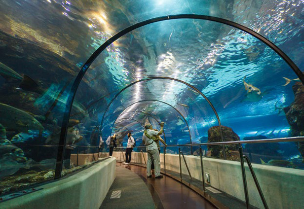 Nou acord amb L’ Aquàrium de Barcelona