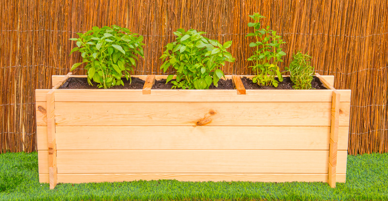 ¿Cómo preparar la tierra para cultivar?