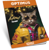 Navidad 2025 (QF+). Del 18/11/2025 al 07/01/2026