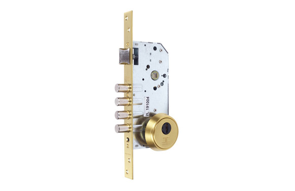 Cerradura seguridad r200b entrada 50mm escudo e700 30-40 laton pulido