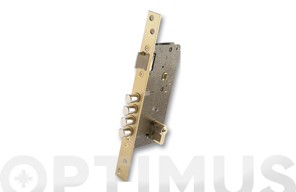 Cerradura seguridad embutir 700b/50-ds15/70d esmaltada